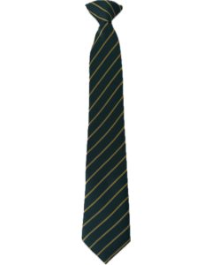 TI-103 Bottle & Gold Clip On Tie (Yr3 & 4 only)